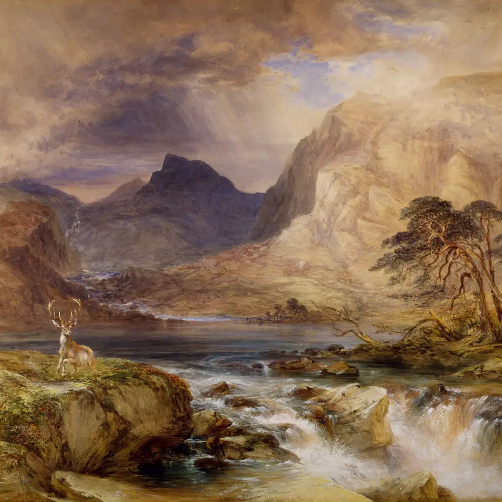 About Me freelance artist scenary 1