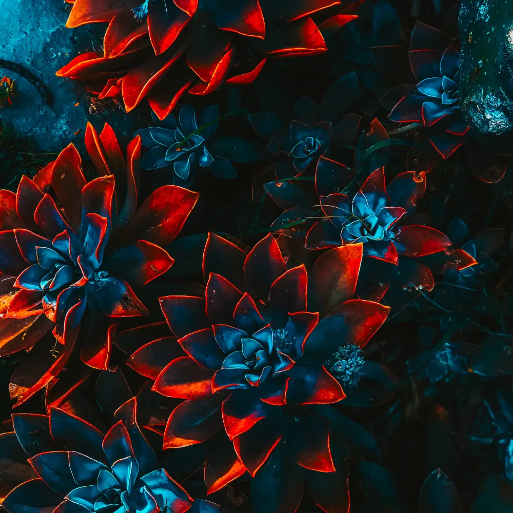 About Me freelance artist floral 4